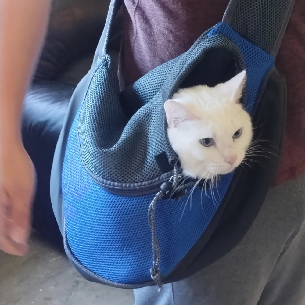 Blue and Gray Small Pet Carrier
